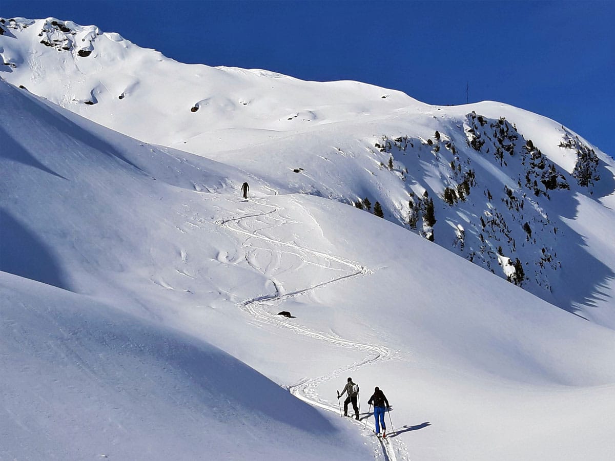 Ski + Splitboard Touring in St. Anton, photo 2